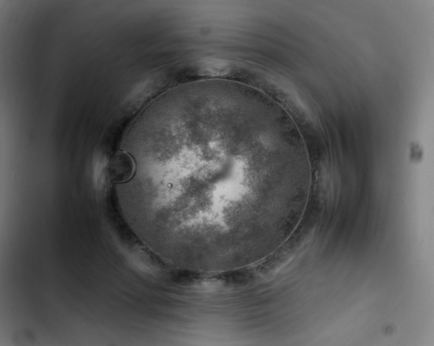 X0000103410598200809121307