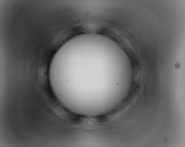 X0000103410599200809121307