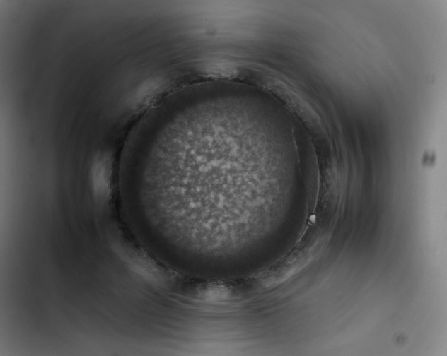 X0000103410600200809121307