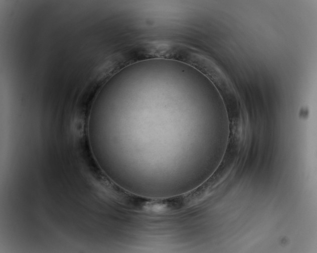 X0000103410602200809121307