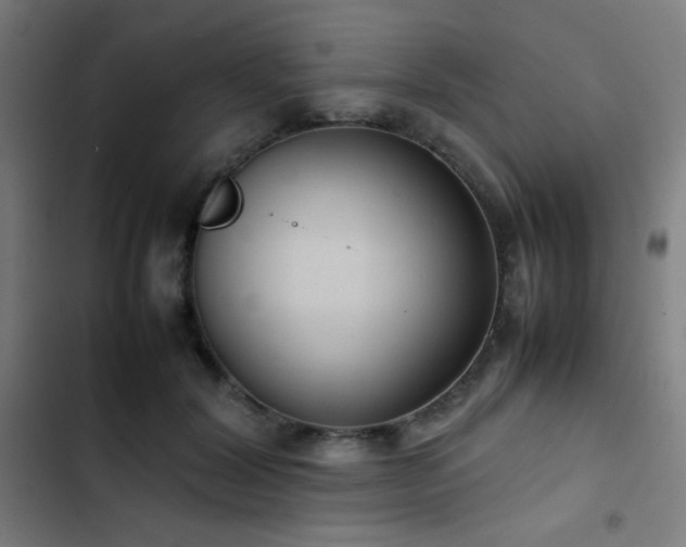 X0000103410604200809121307