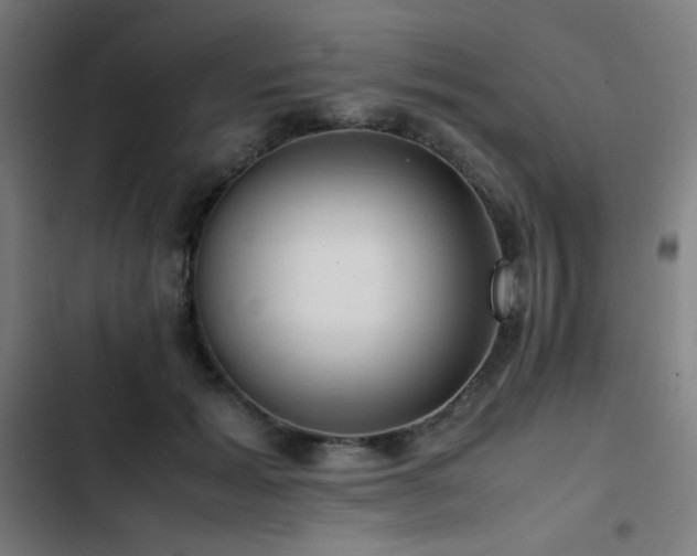 X0000103410605200809121307