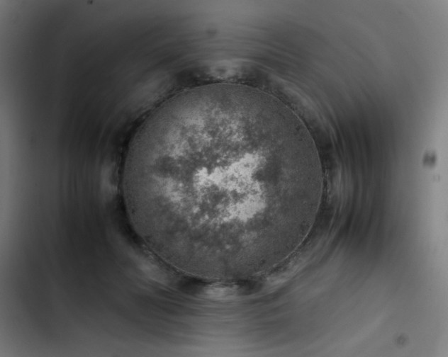 X0000103410606200809121307