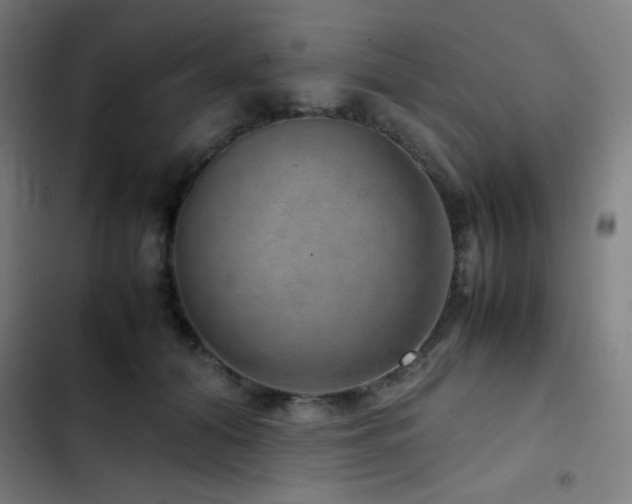 X0000103410608200809121307