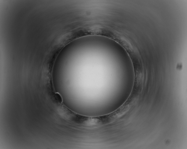 X0000103410609200809121307