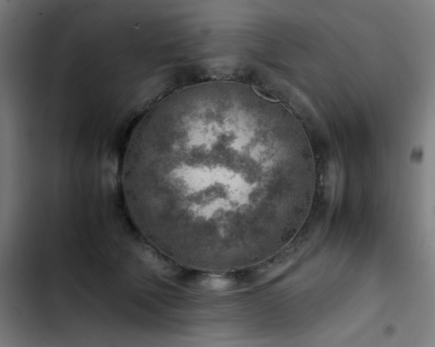 X0000103410610200809121307