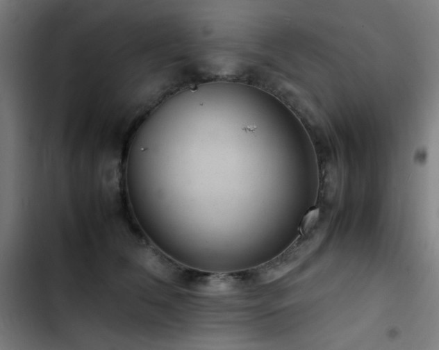 X0000103410612200809121307