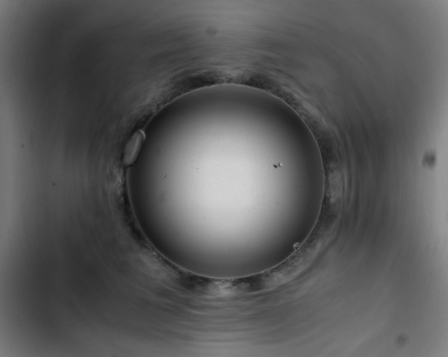 X0000103410613200809121307