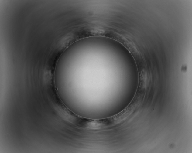 X0000103410614200809121307