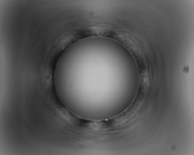 X0000103410615200809121307