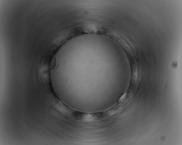 X0000103410616200809121307