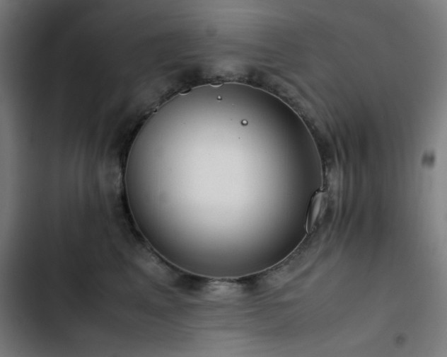 X0000103410617200809121307