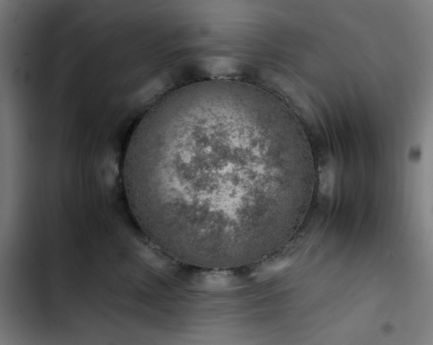 X0000103410618200809121307