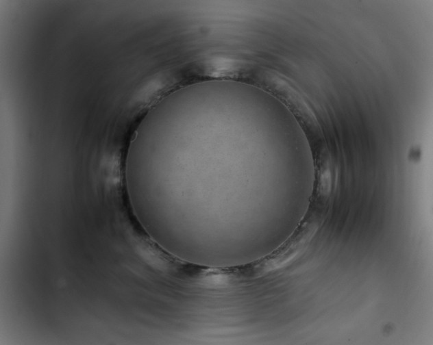 X0000103410620200809121307