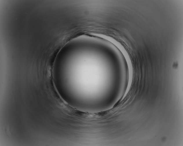 X0000103410621200809121307