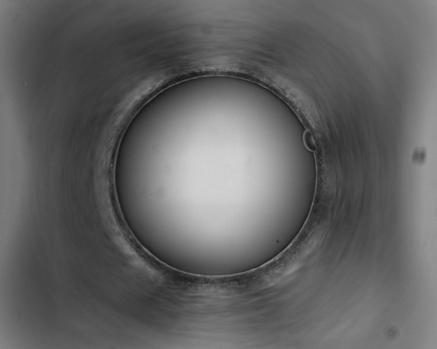 X0000103410625200809121306