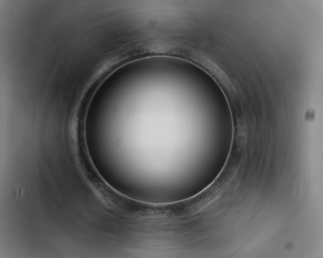 X0000103410626200809121306