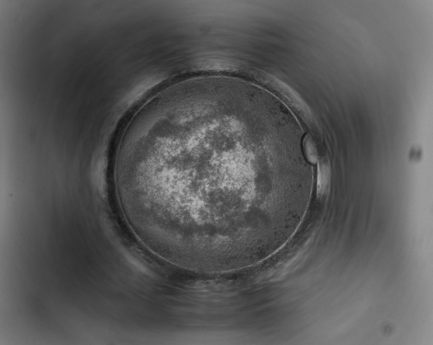 X0000103410627200809121306