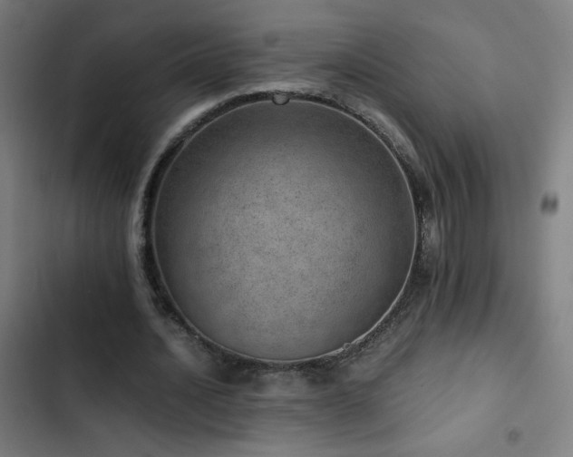 X0000103410628200809121306