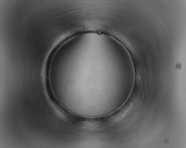 X0000103410630200809121306