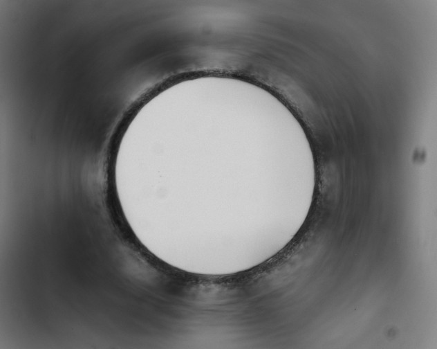 X0000103410632200809121306