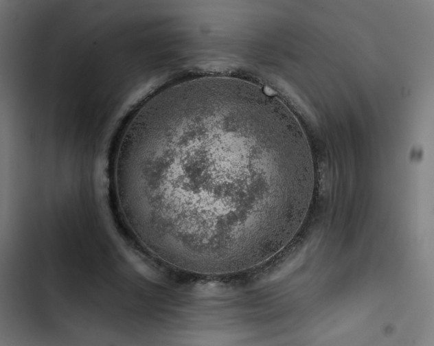 X0000103410634200809121306