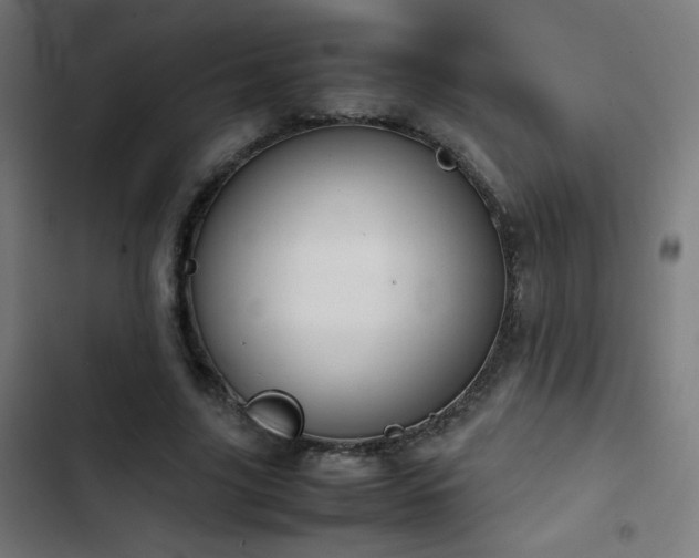 X0000103410635200809121306