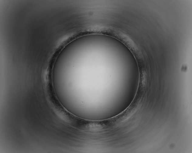 X0000103410636200809121306