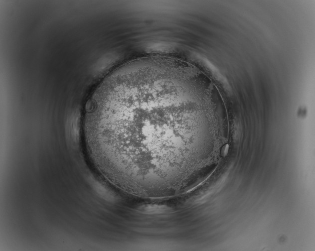 X0000103410637200809121306