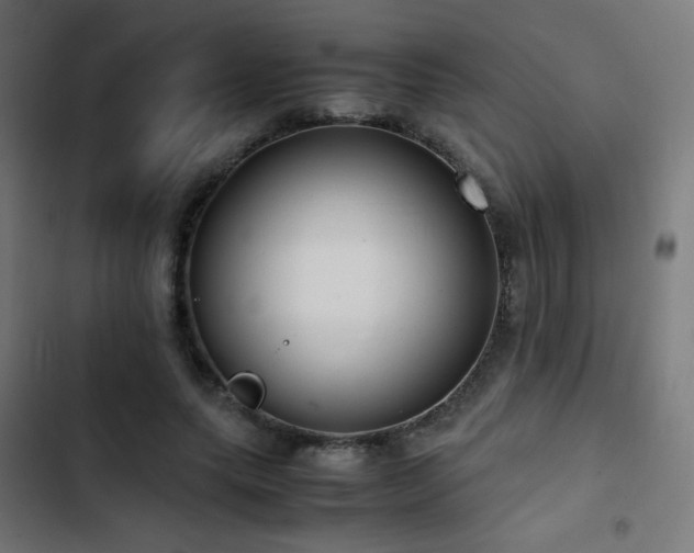 X0000103410639200809121306