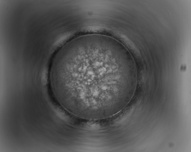 X0000103410640200809121306