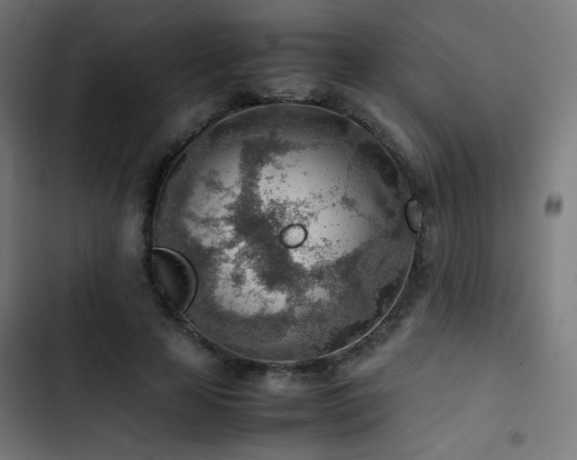 X0000103410641200809121306