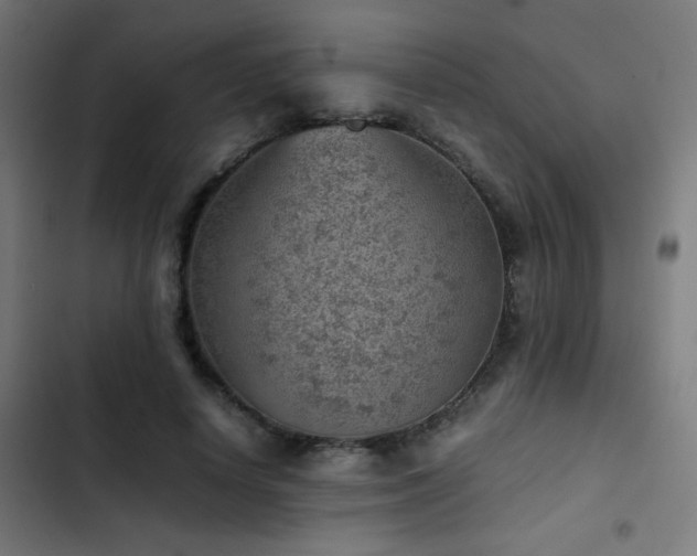 X0000103410642200809121306