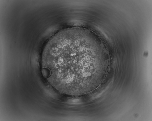 X0000103410643200809121306