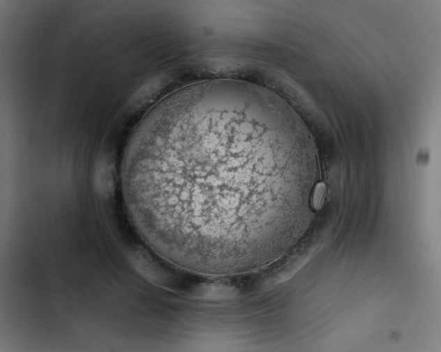 X0000103410644200809121306