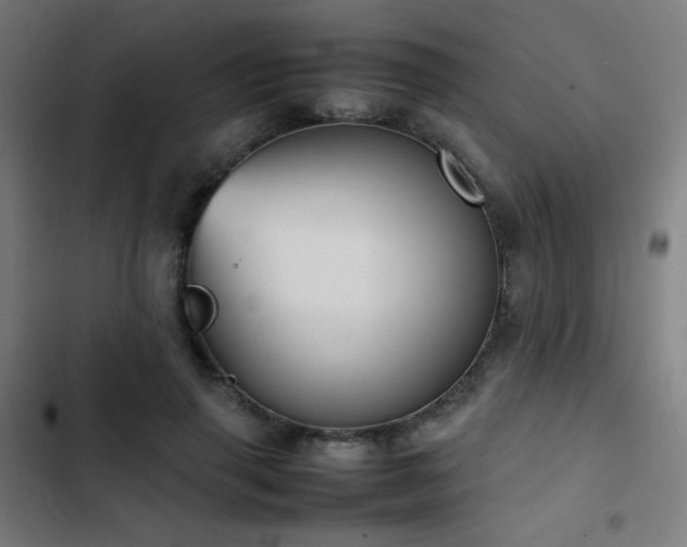 X0000103410645200809121306