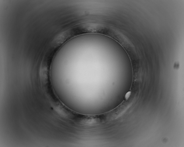 X0000103410646200809121306