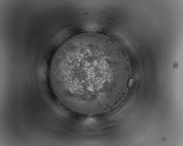 X0000103410647200809121306