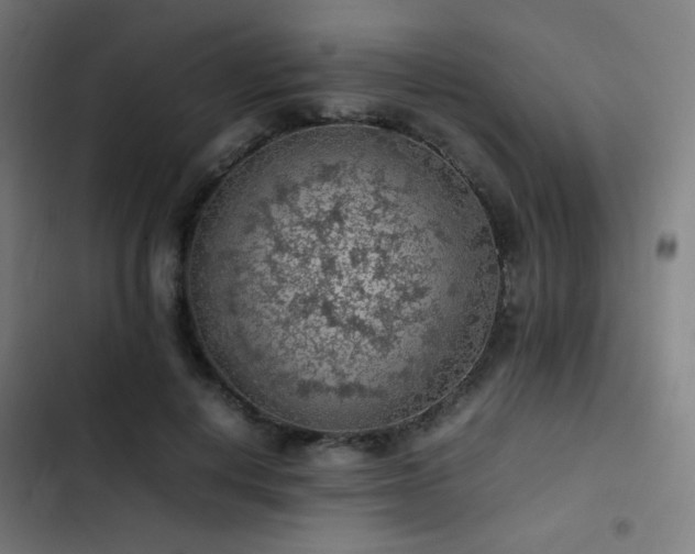 X0000103410648200809121306