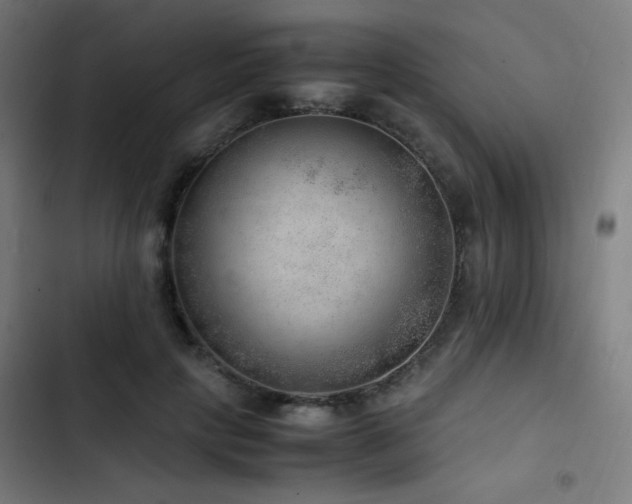 X0000103410649200809121306