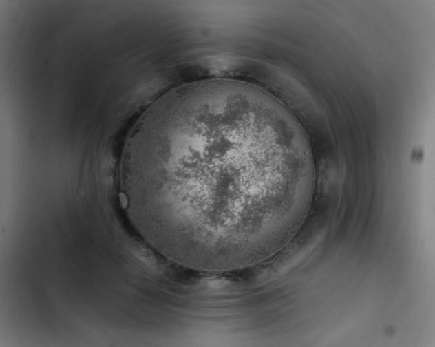 X0000103410650200809121306