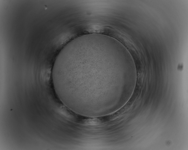 X0000103410652200809121306