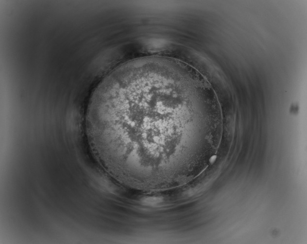 X0000103410653200809121306