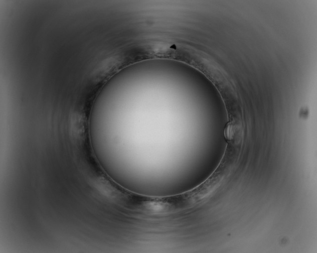 X0000103410654200809121306