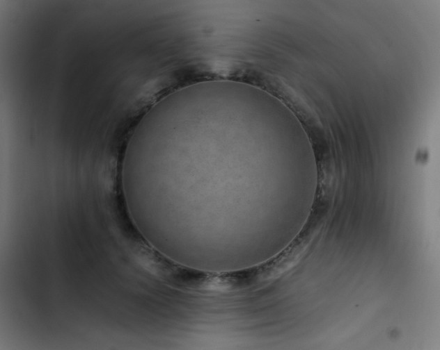 X0000103410656200809121306