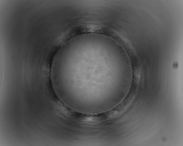 X0000103410657200809121306