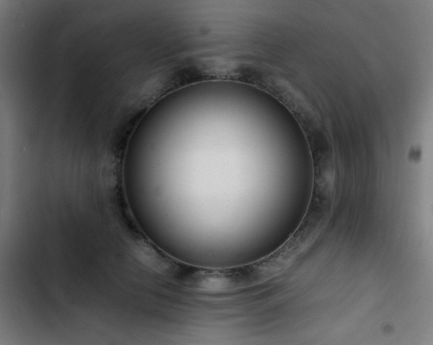 X0000103410658200809121306