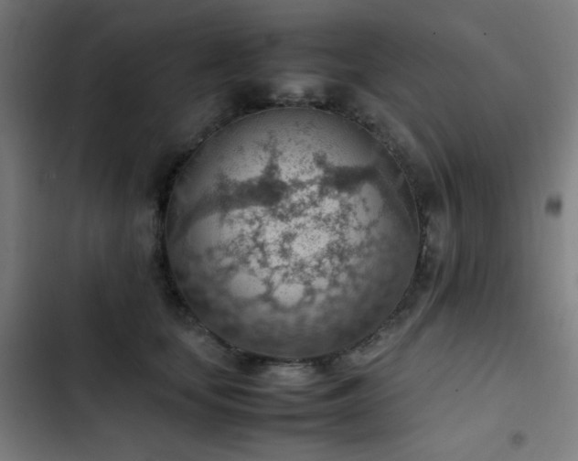 X0000103410659200809121306