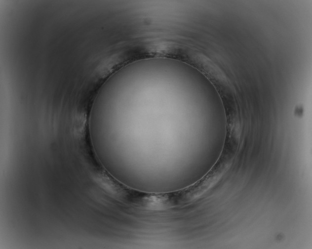 X0000103410660200809121306