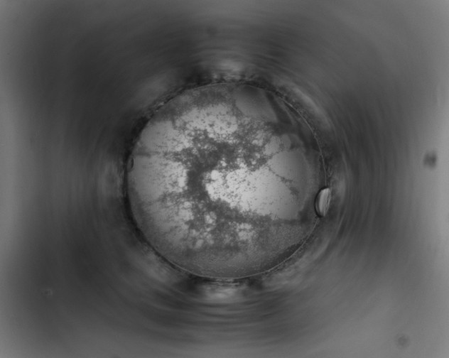 X0000103410661200809121306